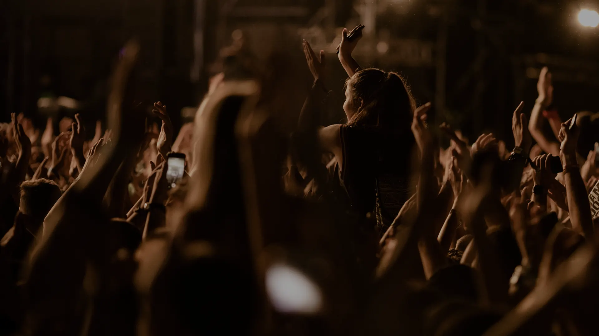 Público en un concierto